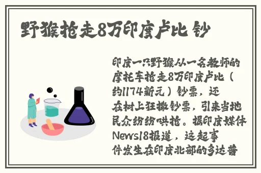 亚洲无碼网站观看